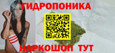 крисы Партизанск