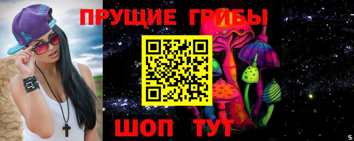 Галлюциногенные грибы Cubensis Мончегорск